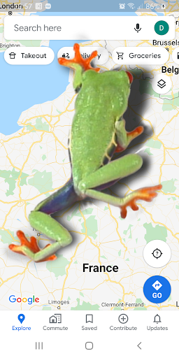 Frog walking on screen joke - Image screenshot of android app