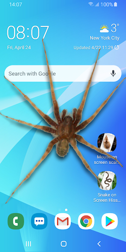 Spider in Phone Funny Joke - Image screenshot of android app