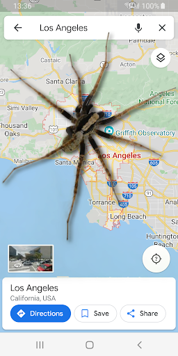 Spider in Phone Funny Joke - Image screenshot of android app