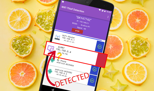 WiFi Thief Detection - Image screenshot of android app