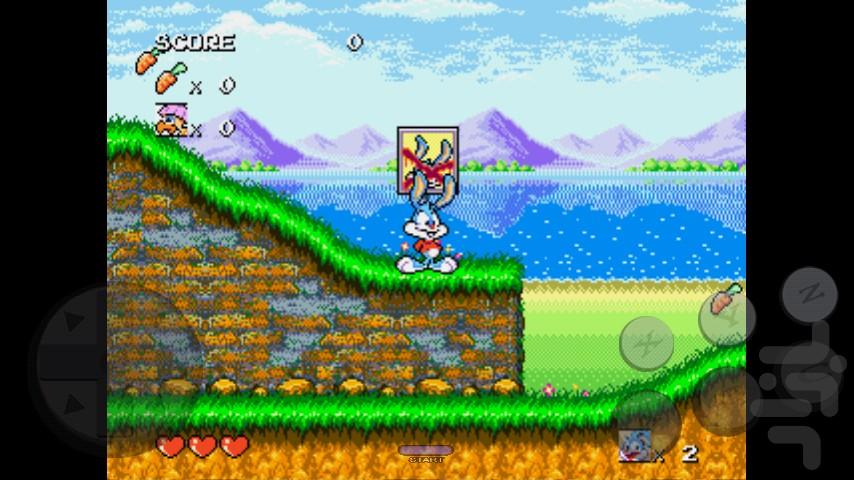 Tiny Toon Hidden Treasure - Gameplay image of android game