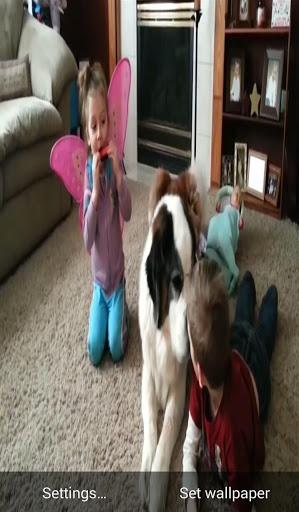 Video Live Wallpaper - عکس برنامه موبایلی اندروید