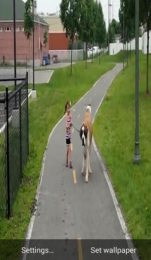 Video Live Wallpaper - عکس برنامه موبایلی اندروید