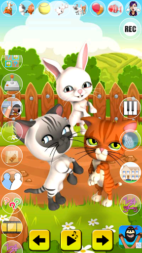 Talking Cat and Bunny - Gameplay image of android game