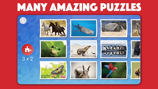 Kids animal jigsaw puzzles - Gameplay image of android game