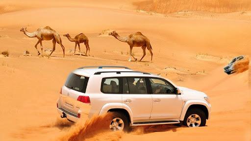 Dubai Desert Safari Drift Jeep - عکس برنامه موبایلی اندروید