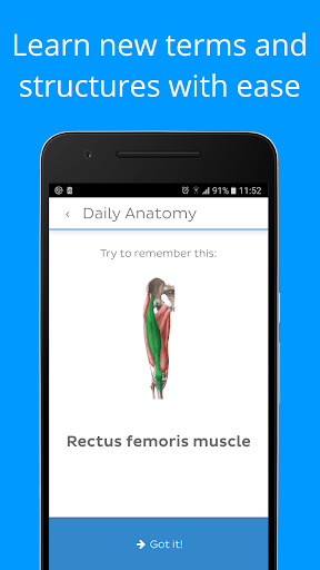 Daily Anatomy Flashcards - عکس برنامه موبایلی اندروید