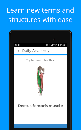 Daily Anatomy Flashcards - عکس برنامه موبایلی اندروید