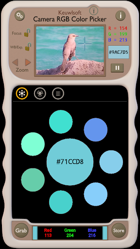 Camera RGB Color Picker - Image screenshot of android app