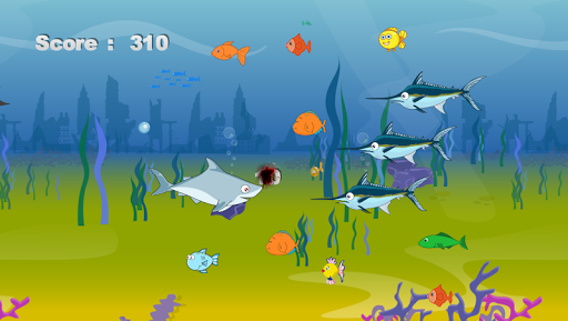 Shark Feed - Gameplay image of android game