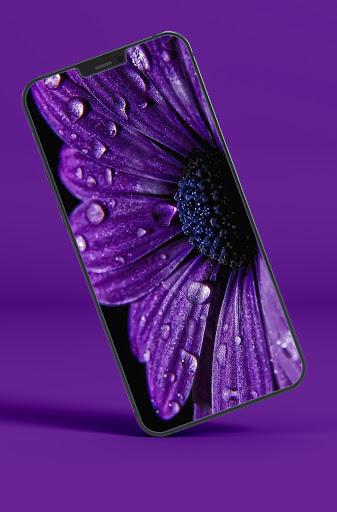 Purple and Black Wallpapers - Image screenshot of android app