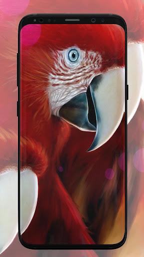 Parrot Wallpaper - Image screenshot of android app