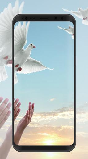 Pigeon Wallpaper - عکس برنامه موبایلی اندروید
