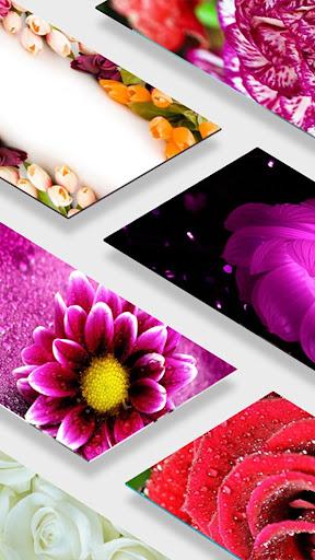 Spring Flowers Wallpapers - Image screenshot of android app