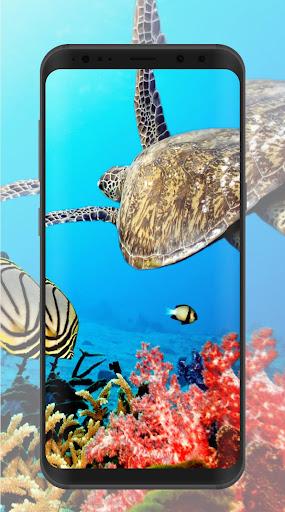 Tortoise Wallpaper - Image screenshot of android app