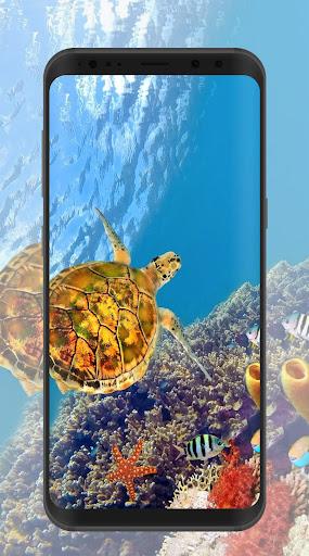 Tortoise Wallpaper - Image screenshot of android app