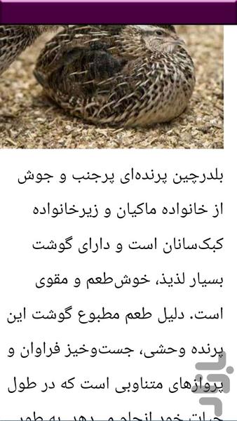 پرورش بلدرچین - عکس برنامه موبایلی اندروید