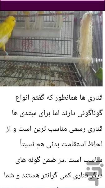 پرورش تخصصی قناری - عکس برنامه موبایلی اندروید