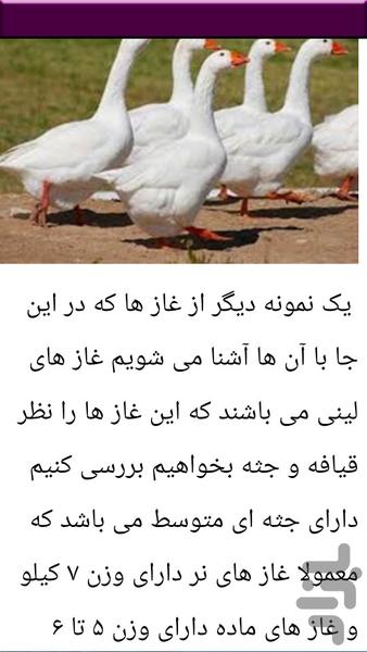 نکات و پرورش غاز - عکس برنامه موبایلی اندروید