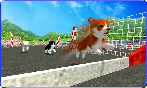 Cute Puppy Dog Racing Sim 2017 - Gameplay image of android game