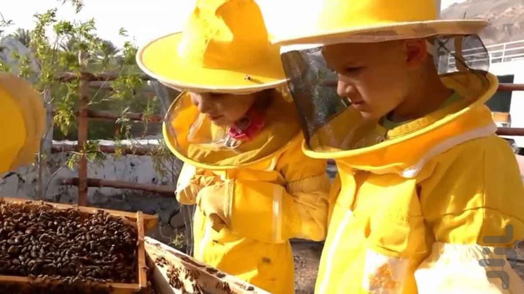 دیانا و روما ۶ | بدون اینترنت - عکس برنامه موبایلی اندروید