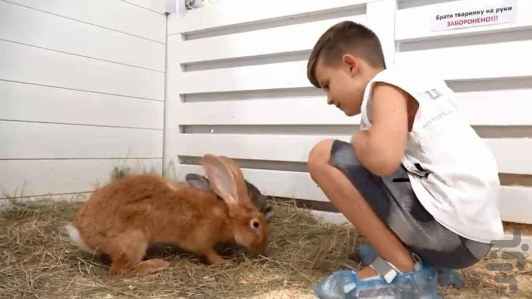 دیانا و روما ۶ | بدون اینترنت - عکس برنامه موبایلی اندروید