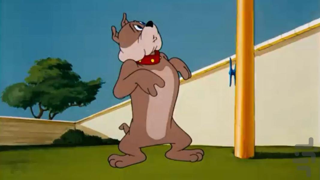 کارتون تام و جری | بدون اینترنت - عکس برنامه موبایلی اندروید