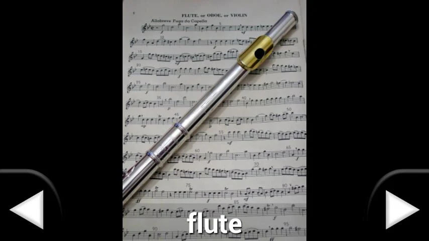 Music instruments and sounds - عکس برنامه موبایلی اندروید