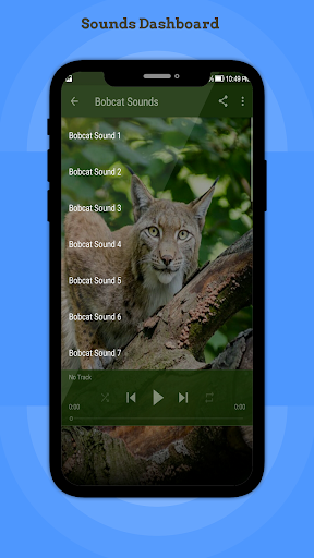 Bobcat Sounds - Image screenshot of android app