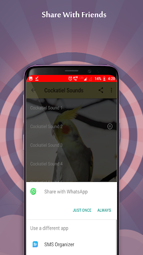 Cockatiel Sounds - عکس برنامه موبایلی اندروید