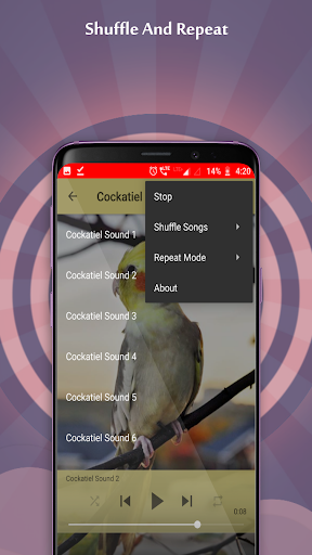 Cockatiel Sounds - عکس برنامه موبایلی اندروید