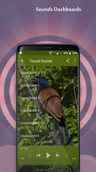 Coucal Sounds - Image screenshot of android app