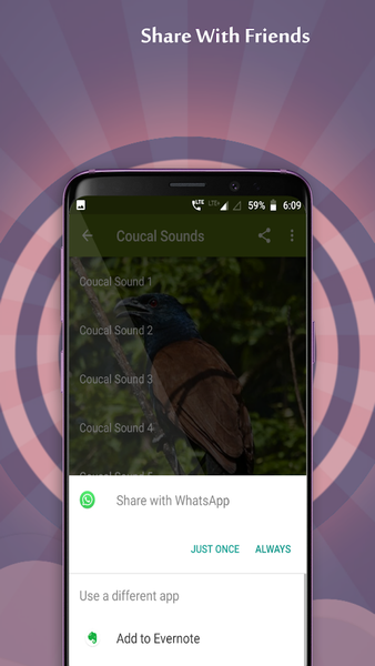 Coucal Sounds - Image screenshot of android app