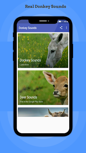 Donkey Sounds - Image screenshot of android app