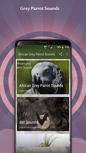 African Grey Parrot Sounds - Image screenshot of android app