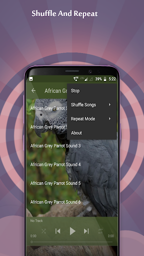 African Grey Parrot Sounds - Image screenshot of android app