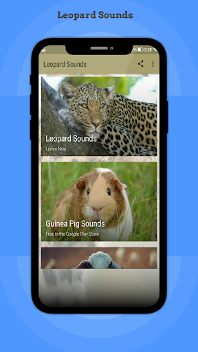 Leopard Sounds - Image screenshot of android app