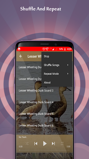Lesser Whistling Duck Sounds - عکس برنامه موبایلی اندروید