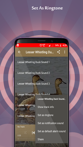 Lesser Whistling Duck Sounds - عکس برنامه موبایلی اندروید