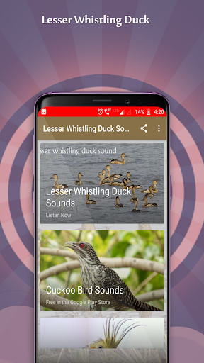 Lesser Whistling Duck Sounds - Image screenshot of android app