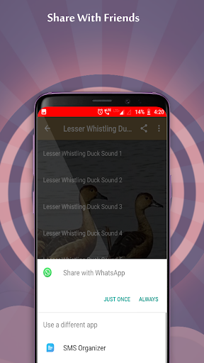 Lesser Whistling Duck Sounds - عکس برنامه موبایلی اندروید