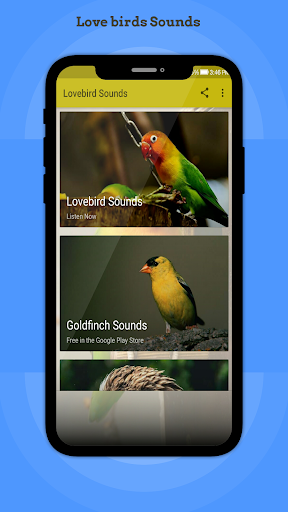 Lovebird Sounds - Image screenshot of android app