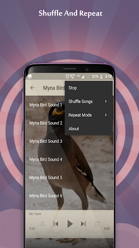 Myna Bird Sounds - Image screenshot of android app