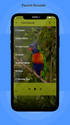 Parrot Sounds - Image screenshot of android app