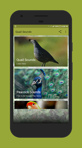 Quail Sounds - Image screenshot of android app