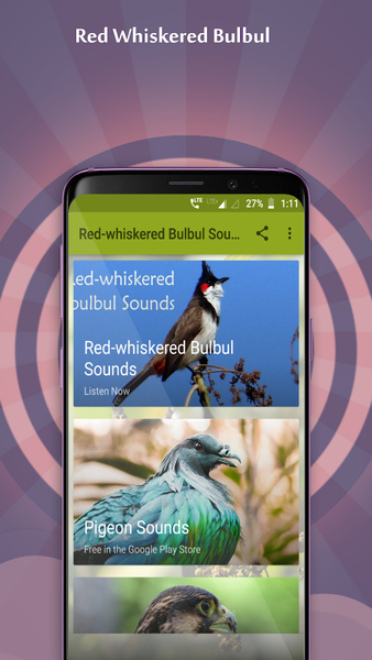 Red-whiskered Bulbul Sounds - عکس برنامه موبایلی اندروید