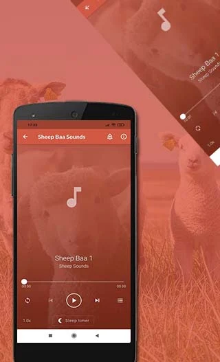 Sheep sounds - عکس برنامه موبایلی اندروید