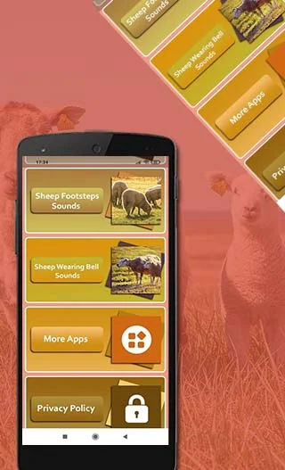 Sheep sounds - Image screenshot of android app