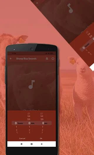 Sheep sounds - عکس برنامه موبایلی اندروید