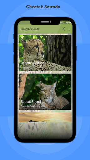 Cheetah Sounds - Image screenshot of android app